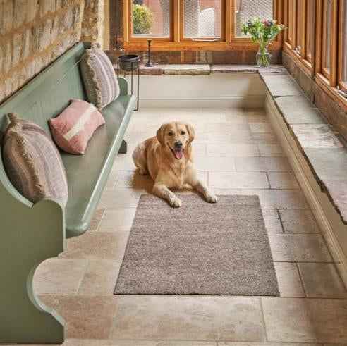 Plain Turtle Mats For Home Multi Grip Backing