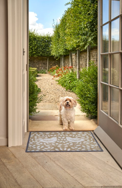 Turtle Mats LOOTING FRUITS Design Indoor Mat placed at doorstep with small dog standing outside garden path