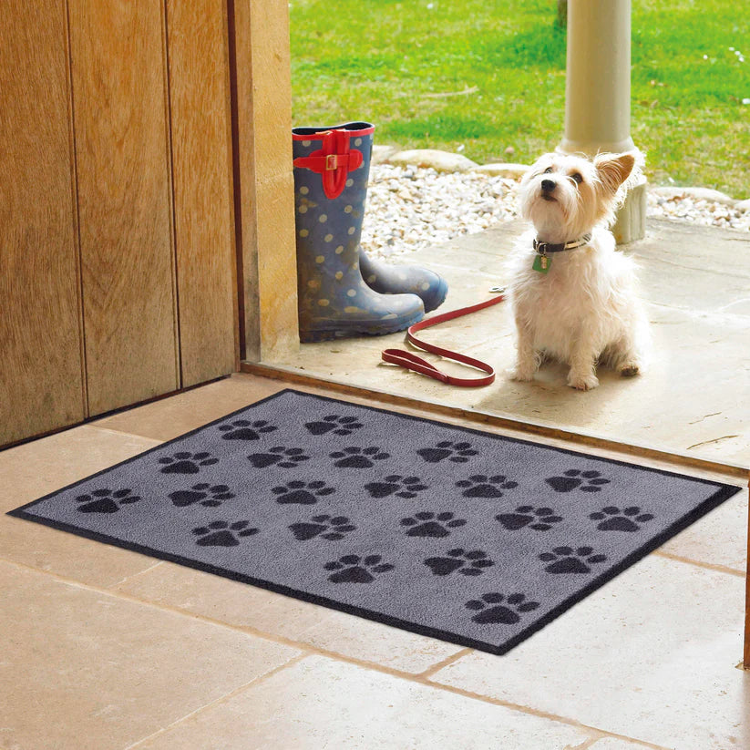 Turtle Mats Paws Indoor Mat