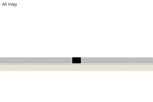 Stairrods New Ali Inlay Floor Trim in silver and black, ideal for seamless flooring transitions